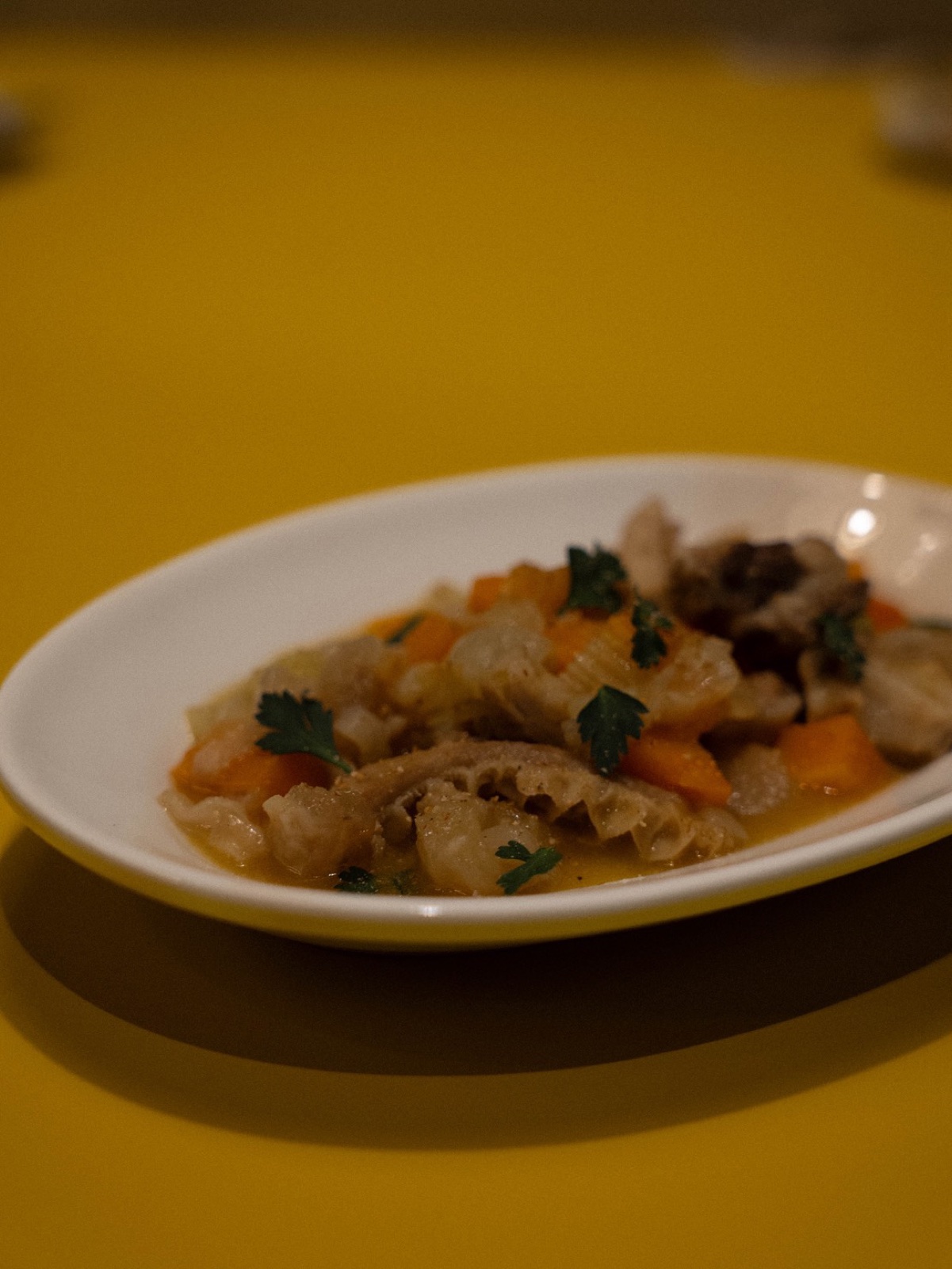 Lampredotto des Bello Vero — Rinderkutteln in Weißwein, mit Karotte, Zwiebel und italienischer Petersilie