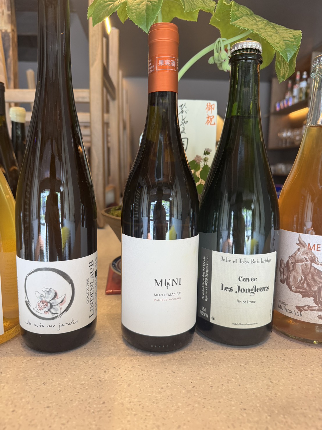 Three new white wines at Bello Vero