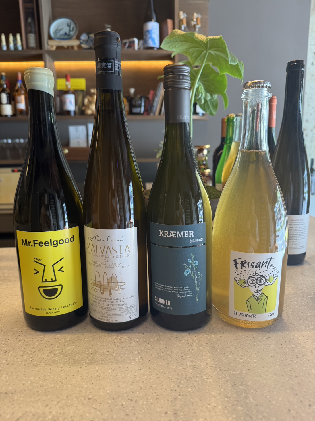 Four new white wines at Bello Vero